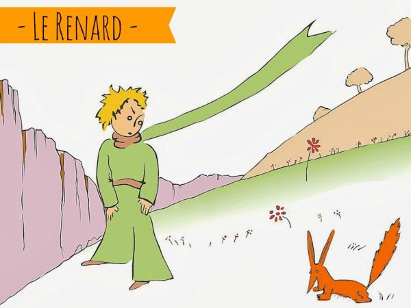 Le Baobab : photo 8 de la chambre dortoir mixte 