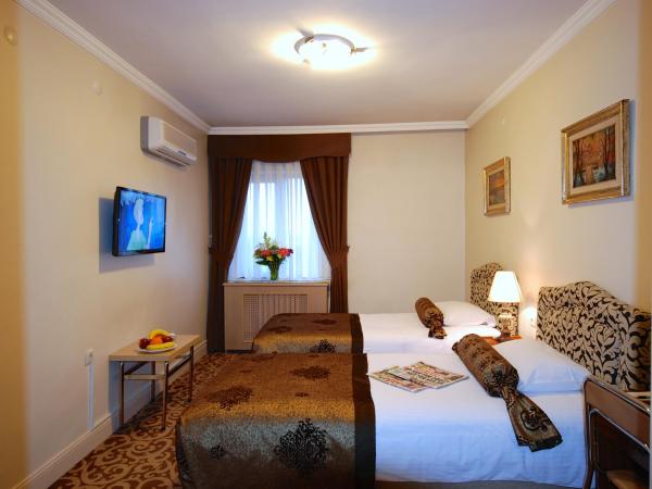 Hotel Mithat : photo 1 de la chambre chambre double ou lits jumeaux