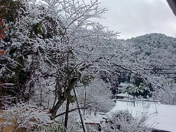 Kinkaku : photo 1 de la chambre chambre double - vue sur montagne