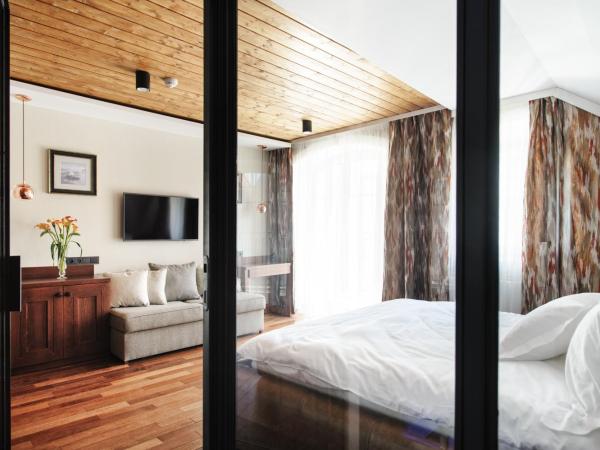 Apartamenty Chleb i Wino : photo 4 de la chambre studio