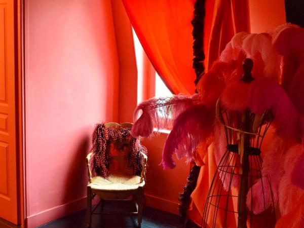 Maison d'hôtes Stella Cadente : photo 2 de la chambre chambre moulin rouge
