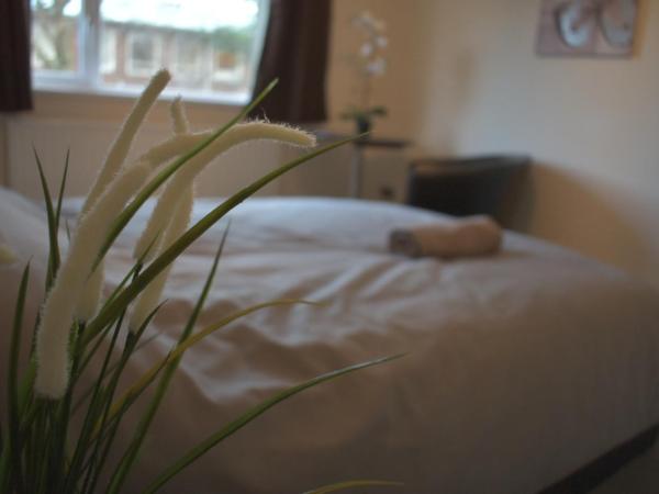 Home and a Stay : photo 1 de la chambre chambre double standard