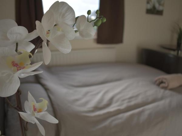 Home and a Stay : photo 9 de la chambre chambre double standard