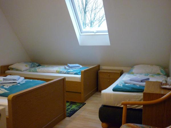 Penzion U Štoly Jáchymov : photo 1 de la chambre chambre triple standard