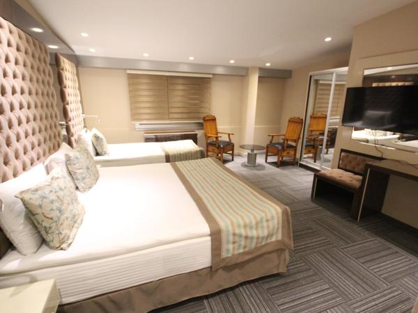 Ankara Gold Hotel : photo 6 de la chambre chambre double ou lits jumeaux