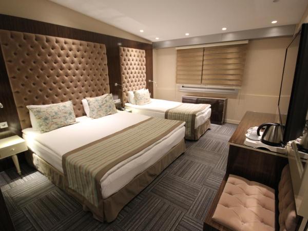 Ankara Gold Hotel : photo 2 de la chambre chambre double ou lits jumeaux