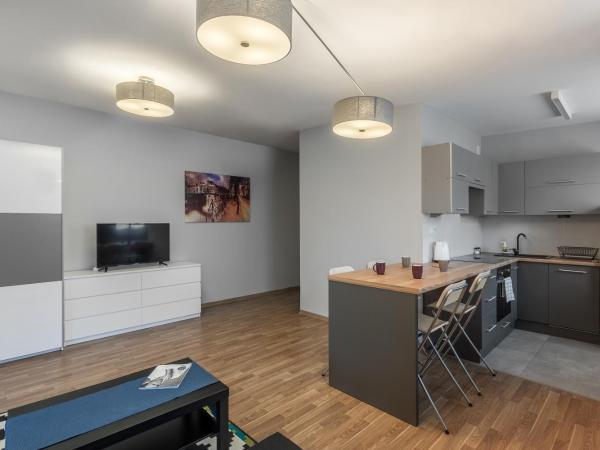Apartamenty Centrum Częstochowa Stara Kamienica : photo 4 de la chambre appartement deluxe