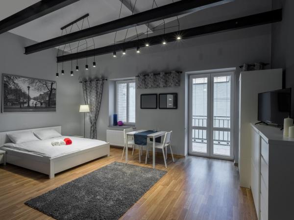 Apartamenty Centrum Częstochowa Stara Kamienica : photo 2 de la chambre appartement