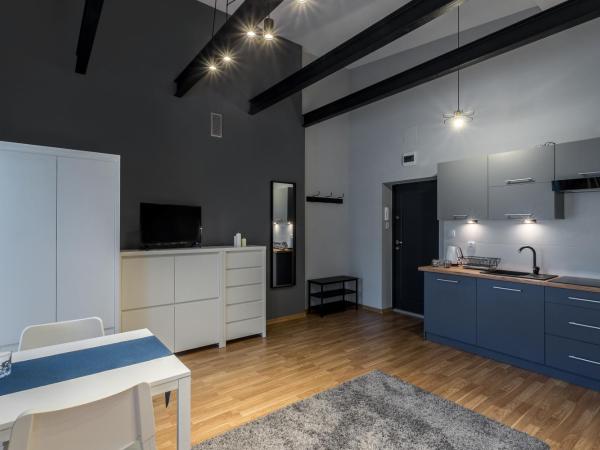 Apartamenty Centrum Częstochowa Stara Kamienica : photo 3 de la chambre appartement