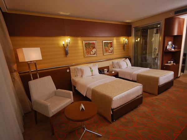 Holiday Inn Ankara-Kavaklidere, an IHG Hotel : photo 3 de la chambre chambre standard