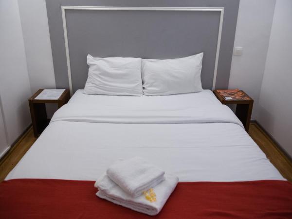 Hôtel Le Stanislas : photo 2 de la chambre chambre simple