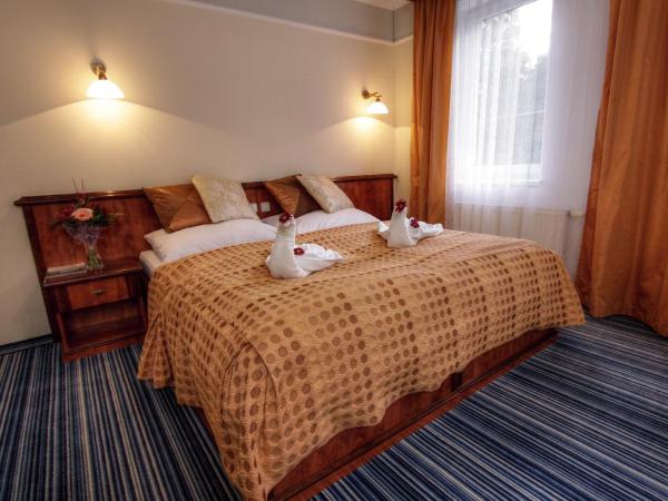 Spa & Wellness Hotel Harmonie : photo 2 de la chambre chambre double