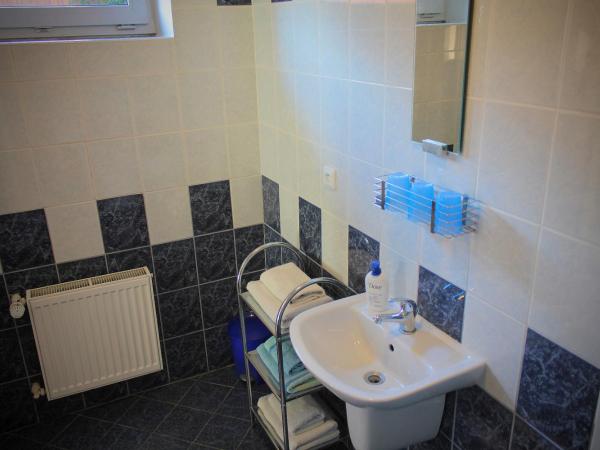 Ubytovani Nikol : photo 8 de la chambre chambre triple avec terrasse