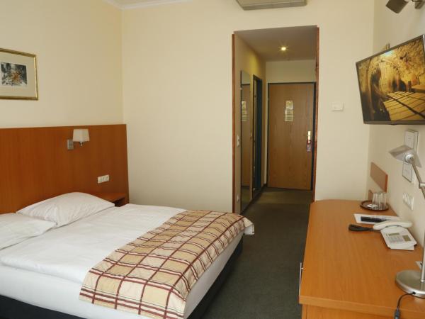 Continental Hotel-Pension : photo 1 de la chambre chambre double