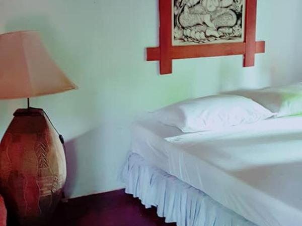 Tropical Garden Bungalow : photo 1 de la chambre chambre double Économique