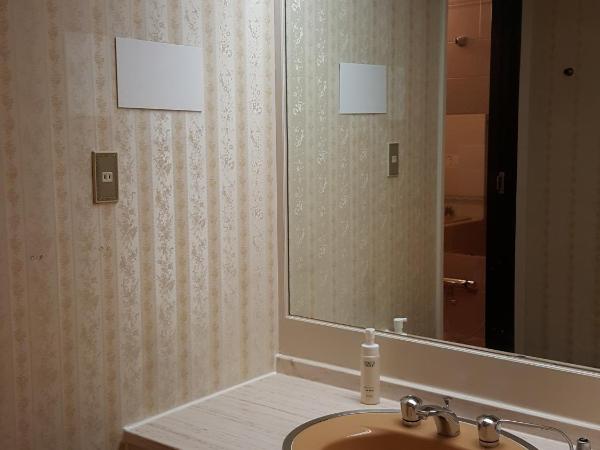 Royal Hotel Shinokubo : photo 2 de la chambre chambre double Économique - non-fumeurs