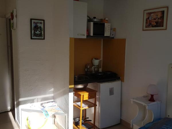 Résidence Appartement Adonis : photo 7 de la chambre studio