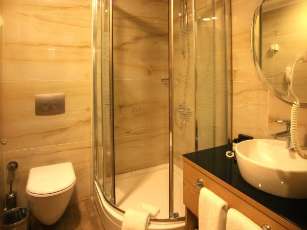 Beyoglu MLS Hotel : photo 8 de la chambre chambre double standard