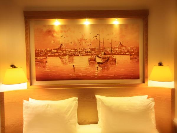 Beyoglu MLS Hotel : photo 3 de la chambre chambre deluxe