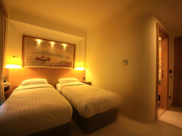 Beyoglu MLS Hotel : photo 6 de la chambre chambre double standard