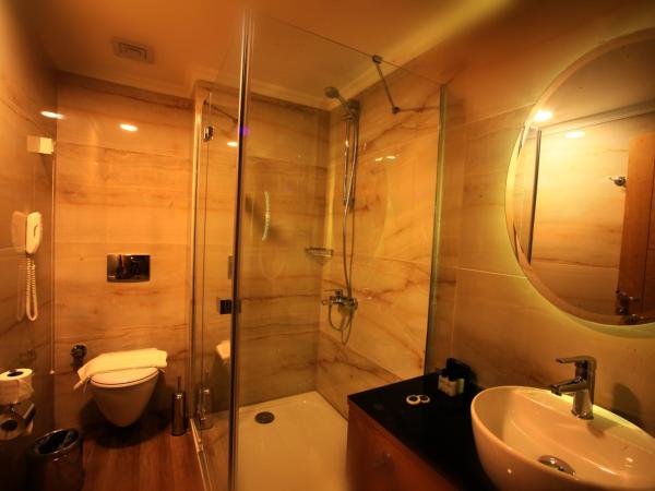Beyoglu MLS Hotel : photo 5 de la chambre chambre deluxe