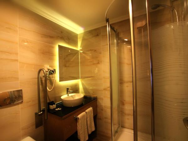 Beyoglu MLS Hotel : photo 6 de la chambre chambre deluxe