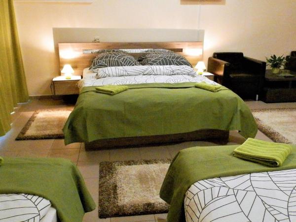 Bartók Tér Panzió : photo 4 de la chambre chambre familiale avec salle de bains