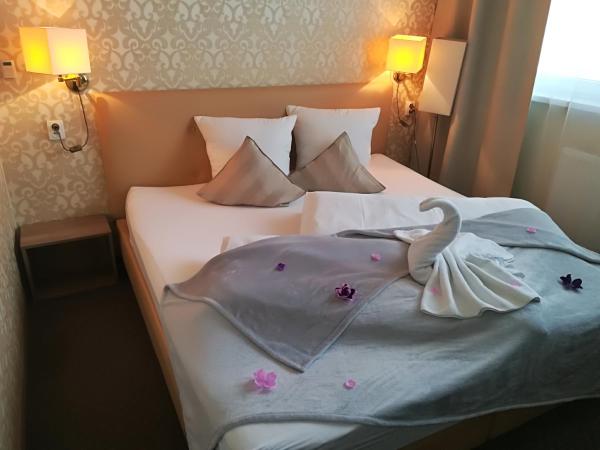 Penzion Vanessa : photo 3 de la chambre chambre de luxe double ou lits jumeaux avec baignoire spa