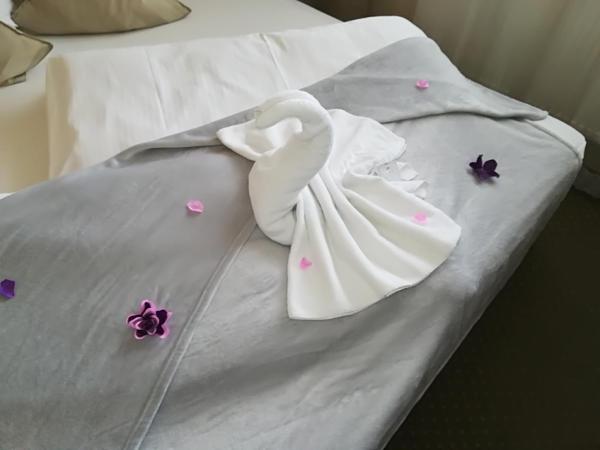 Penzion Vanessa : photo 5 de la chambre chambre de luxe double ou lits jumeaux avec baignoire spa