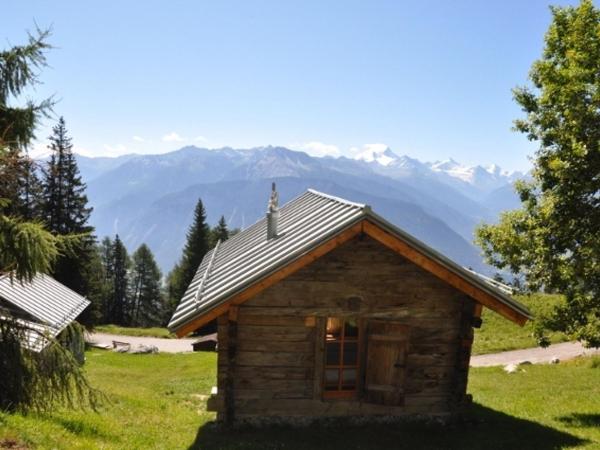 Le Mayen de Colombire : photo 10 de la chambre chalet