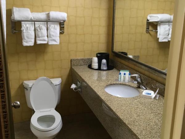 The Independence Inn - Charlotte Matthews : photo 2 de la chambre chambre lit king-size - non-fumeurs