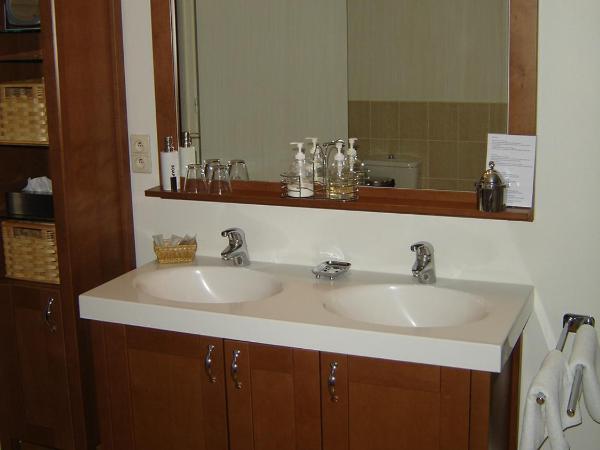 B&B Villa Des Raisins : photo 8 de la chambre double room - nuits saint georges