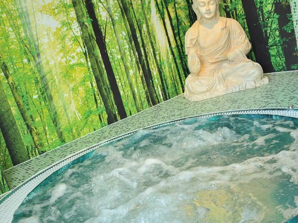 Hotel Royal Astrid : photo 3 de la chambre chambre lits jumeaux standard avec accès au spa