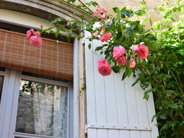 Cocooning Avignon : photo 7 de la chambre suite confort avec cuisine