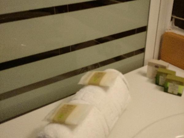 Logis Hotel-Restaurant Spa Le Lac : photo 3 de la chambre chambre lits jumeaux