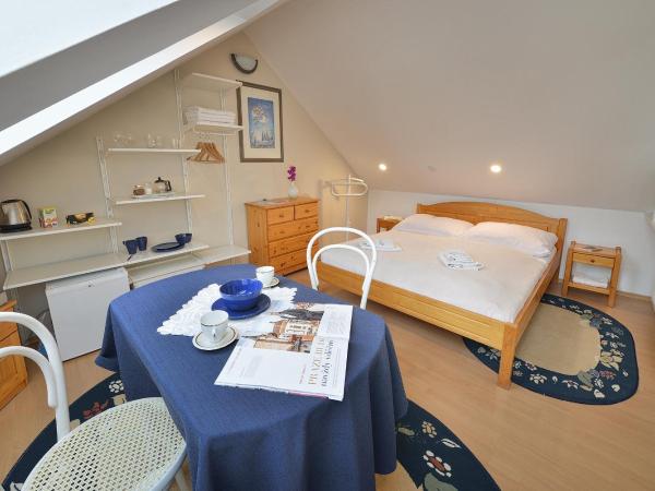 A. V. Pension Praha : photo 2 de la chambre attic apartment with free parking