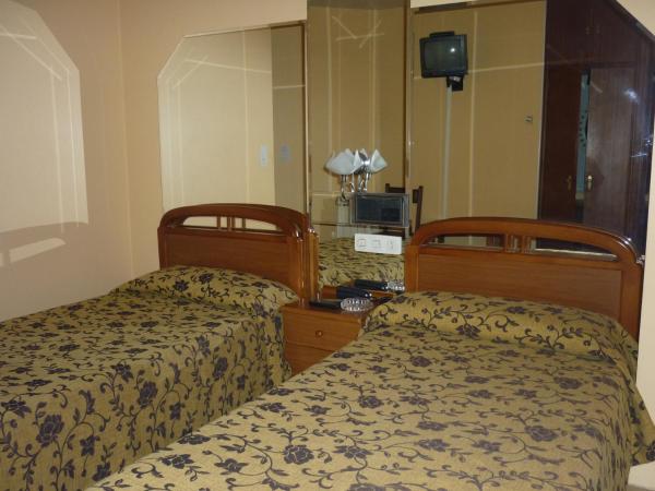 Hotel Francisco Javier : photo 6 de la chambre chambre lits jumeaux