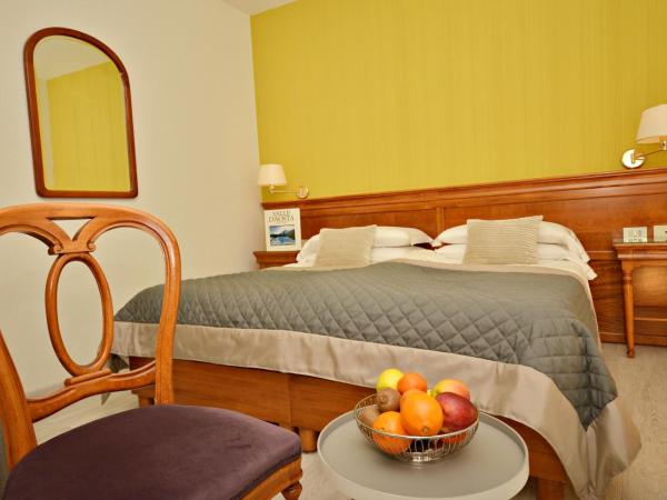 Hotel Diana Jardin et Spa : photo 1 de la chambre chambre double ou lits jumeaux