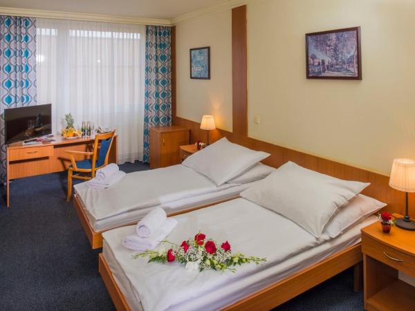 TOP HOTEL Praha : photo 1 de la chambre chambre double ou lits jumeaux standard