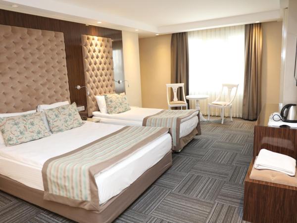 Ankara Gold Hotel : photo 5 de la chambre suite