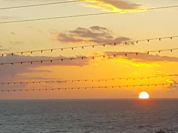 Maples Hotel : photo 7 de la chambre appartement deluxe