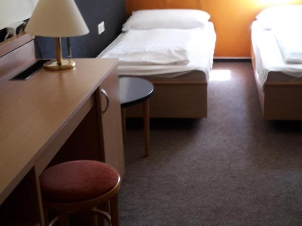 Berg Toboz Panzió : photo 2 de la chambre chambre lits jumeaux