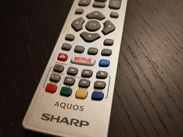 Bluestone Boarding Apartments : photo 9 de la chambre penthouse