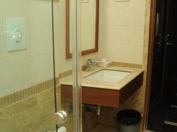 Ponnis Grand Inn : photo 3 de la chambre chambre deluxe