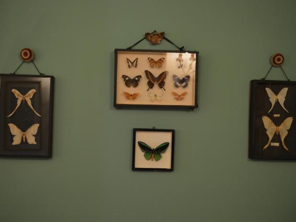 Aux 3 Portes : photo 10 de la chambre studio avec vue sur jardin