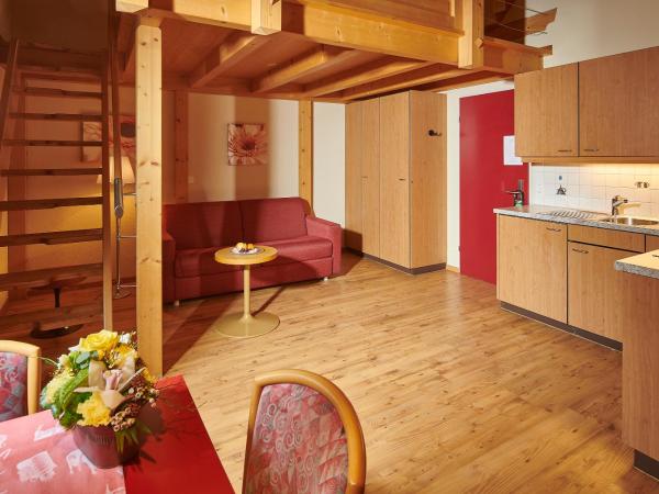 Hotel Central Wolter - Grindelwald : photo 1 de la chambre appartement gallerie