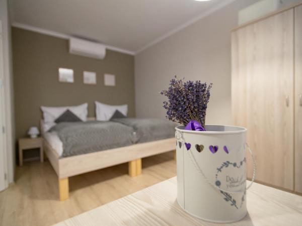 Aurora Vendégház : photo 5 de la chambre chambre lits jumeaux standard