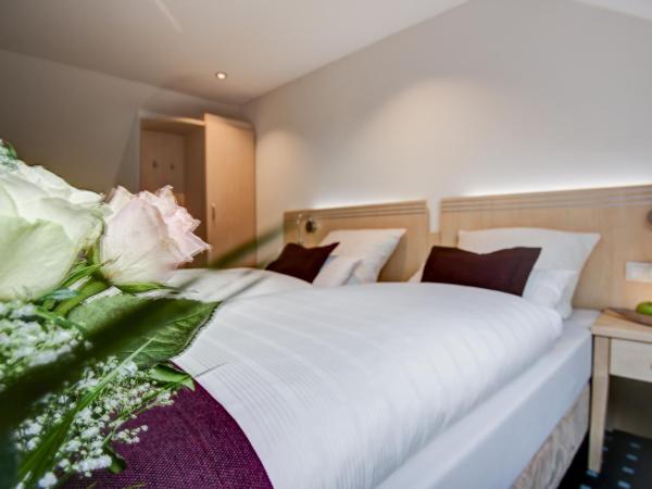 Rhein Neckar Hotel : photo 1 de la chambre chambre double standard