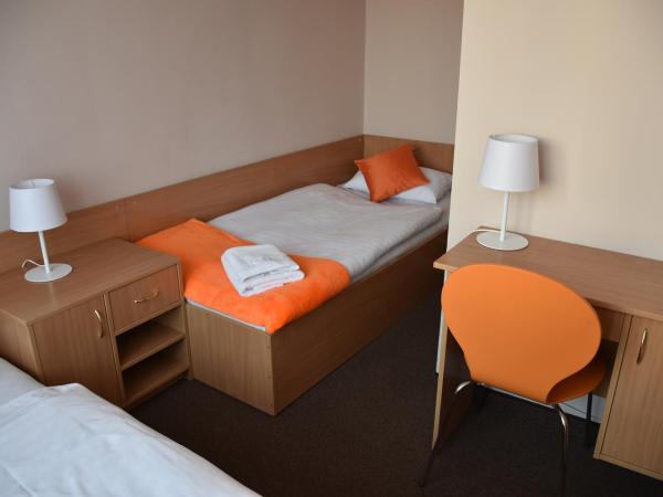 Hotel PZMot : photo 2 de la chambre chambre triple Économique