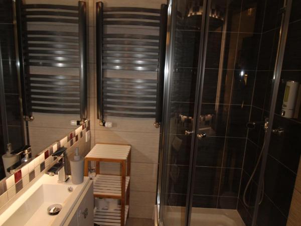 Apartamenty Centrum Częstochowa Stara Kamienica : photo 4 de la chambre studio